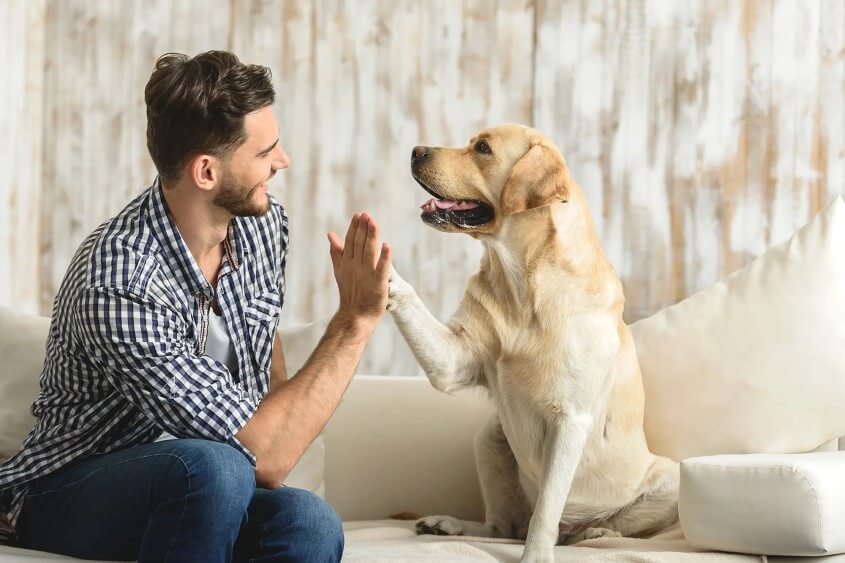 Die beliebtesten Männertypen bei Frauen - Der Hundebesitzer