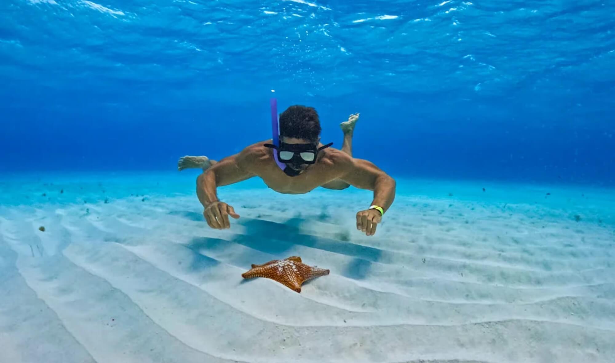 Schnorcheln lernen - Ultimativer Guide für Männer