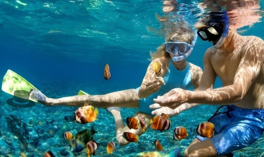 Schnorcheln lernen - Verhalten unter Wasser
