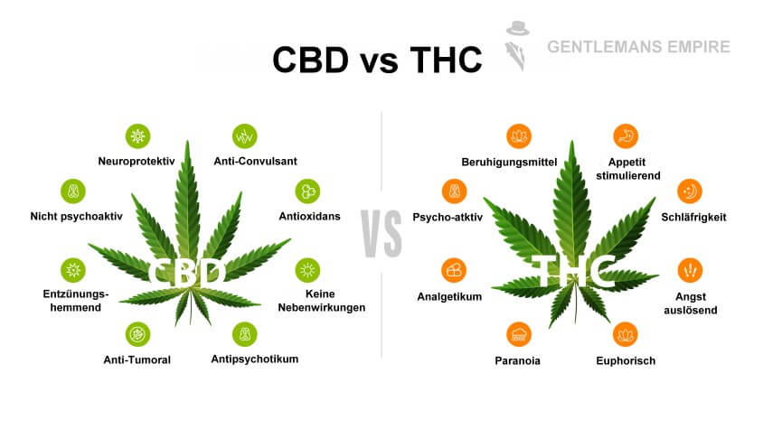 Vergleich von CBD und THC