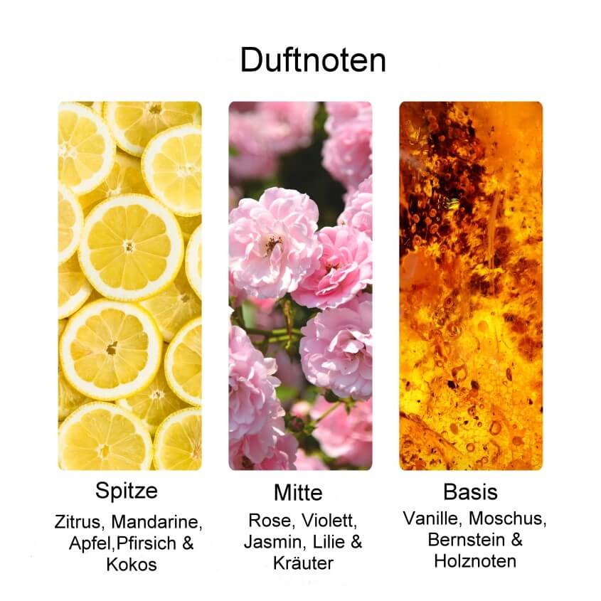 Infografik Duftnoten Frühling